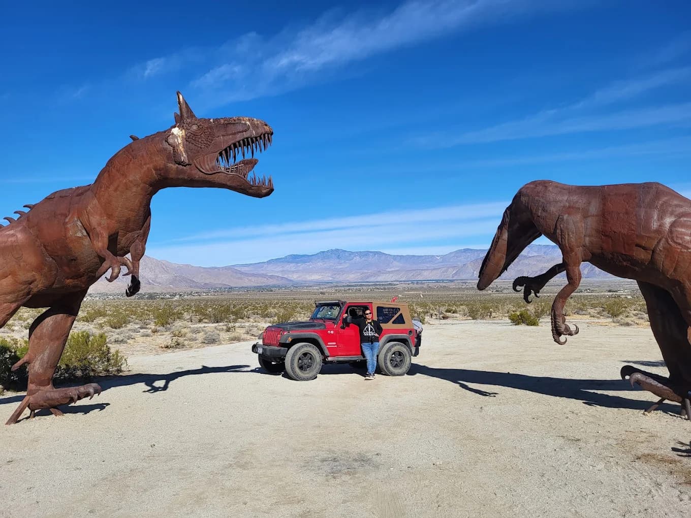 Anza-Borrego Desert wildflowers
