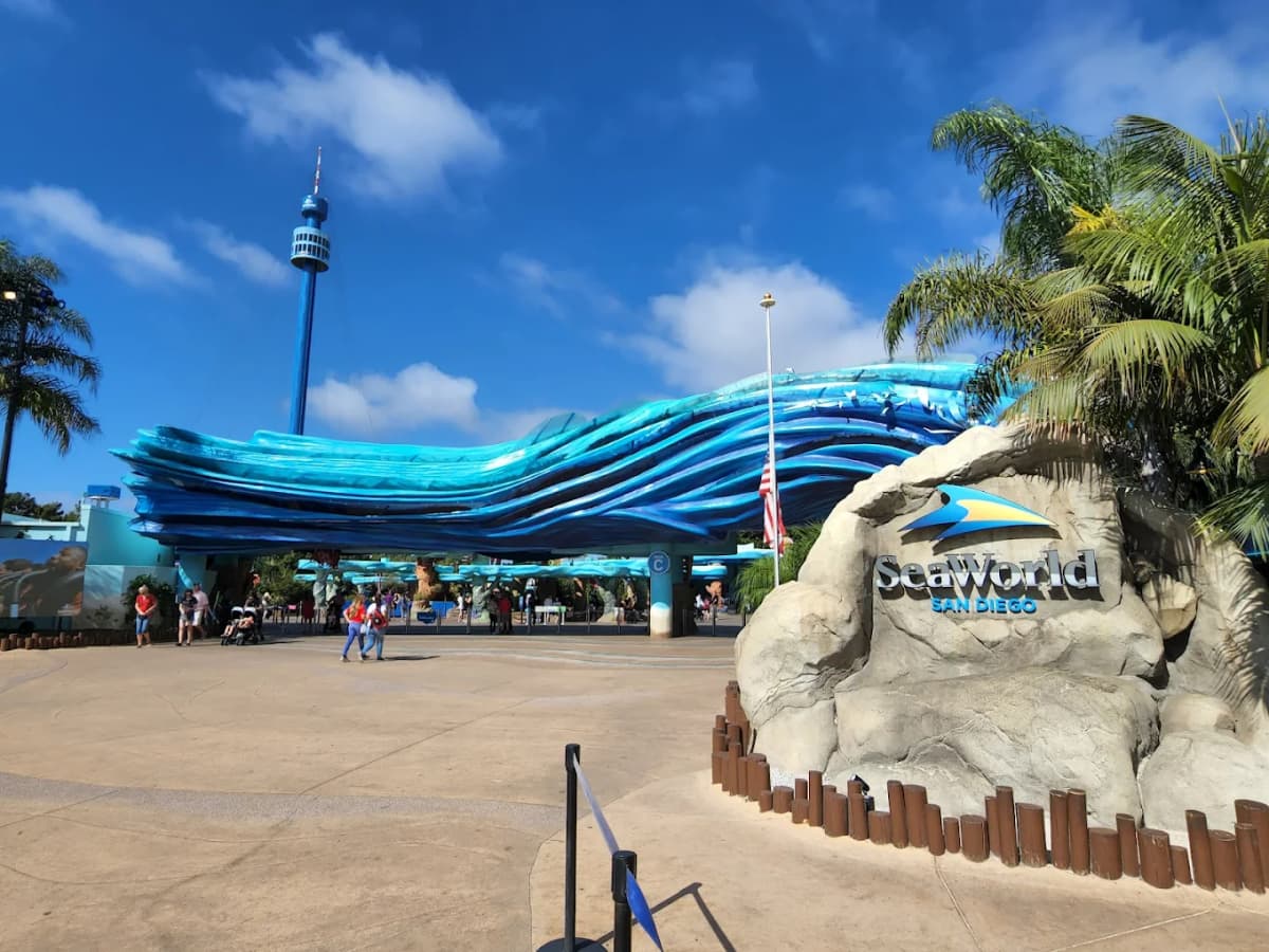 SeaWorld San Diego Shark Encounter 2026 — family things to do in San Diego